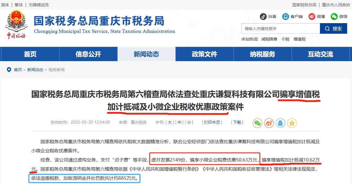 重庆5月税务处罚-骗税